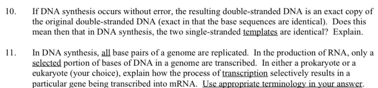 Solved 10. If DNA synthesis occurs without error, the | Chegg.com