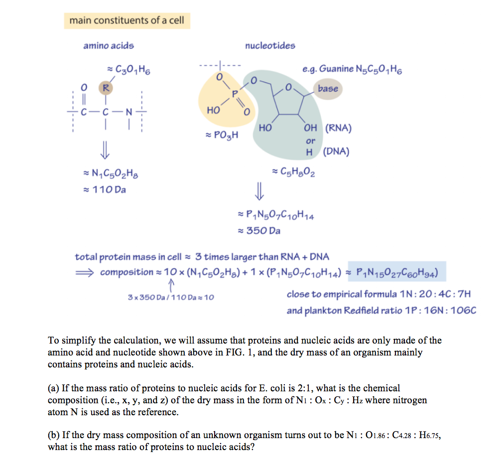 Solved main constituents of a cell amino acids nucleotides