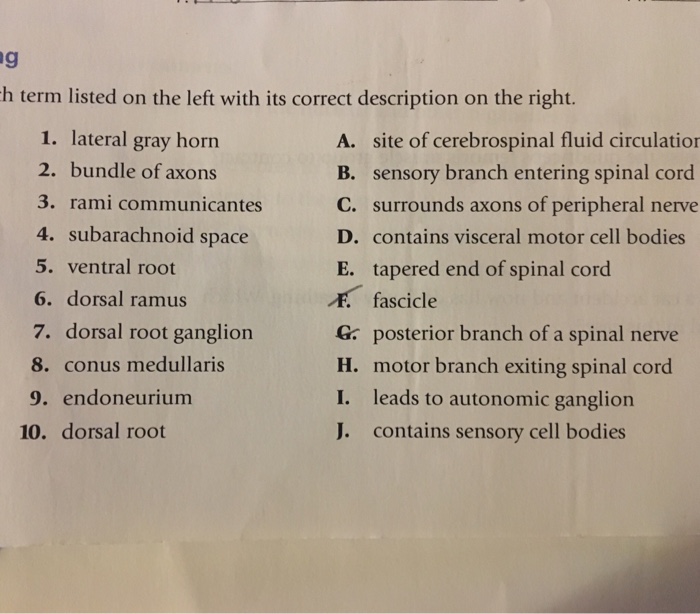 Solved h term listed on the left with its correct