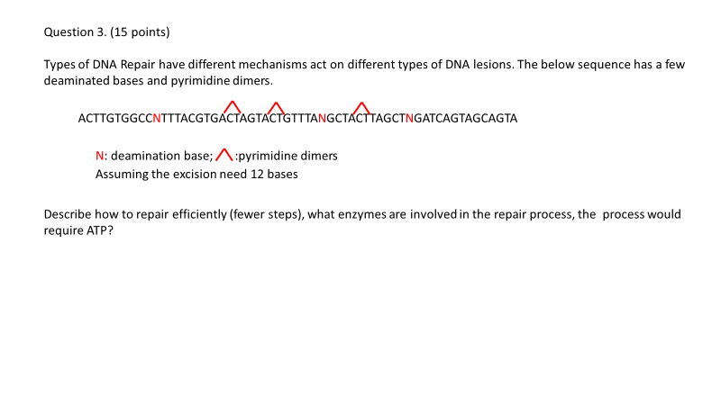 Solved Question 3. (15 points) Types of DNA Repair have | Chegg.com
