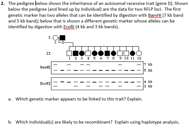 Draw A Map Showing The Genetic Distances Between The | Chegg.com