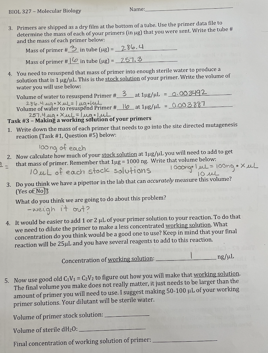 BIOL 327 - Molecular Biology Name: 3. Primers are | Chegg.com