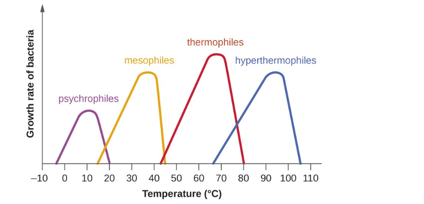 diagramme des thermophiles