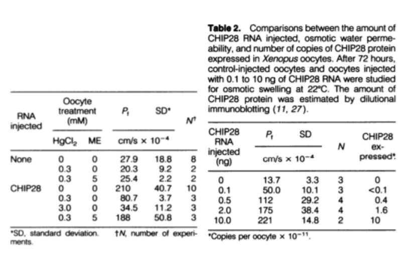 Solved A CHIP Repeat-2 CHIP Repeat-1 -COOH A 1.5 HN B RBC | Chegg.com