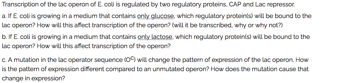 Solved Transcription of the lac operon of E. coli is | Chegg.com