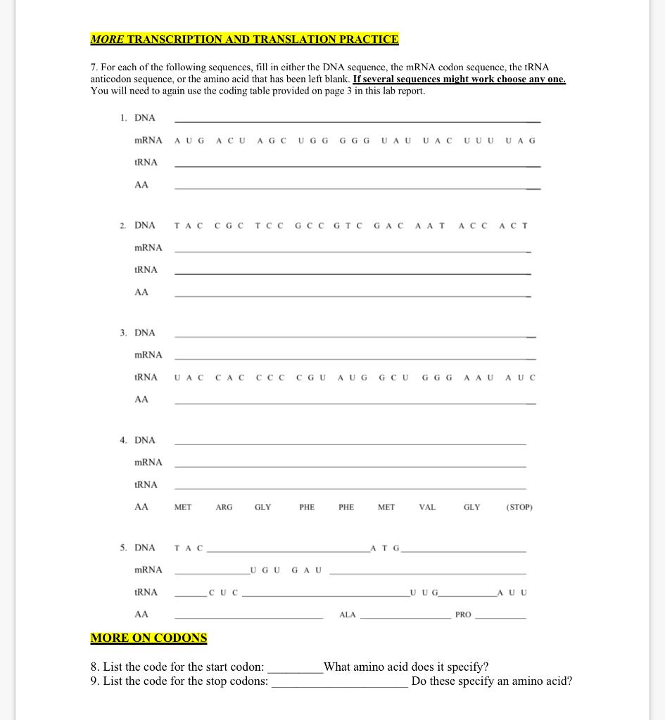 Solved MORE TRANSCRIPTION AND TRANSLATION PRACTICE 7. For | Chegg.com