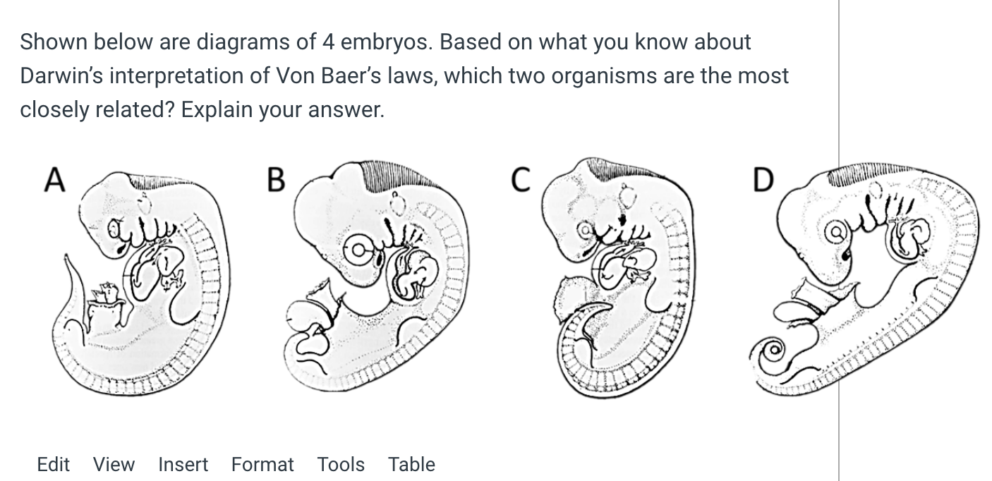 Solved Shown Below Are Diagrams Of 4 Embryos. Based On What | Chegg.com