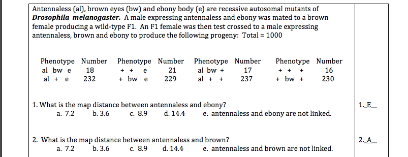 Solved Antennaless Al Brown Eyes Bw And Ebony Body Chegg Com