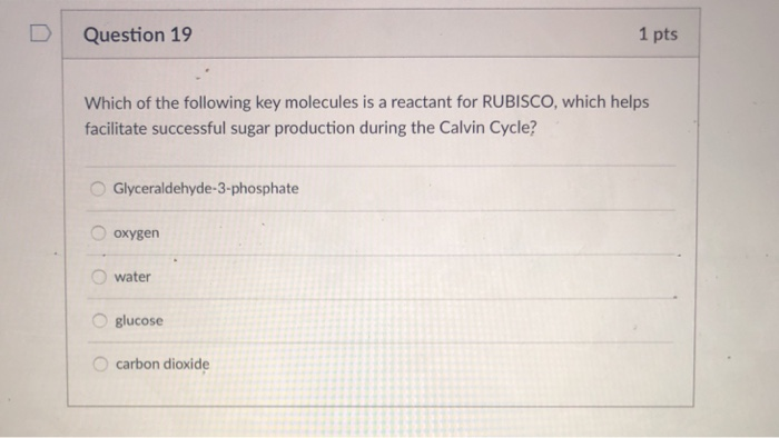 Solved 1 pts D Question 19 Which of the following key | Chegg.com