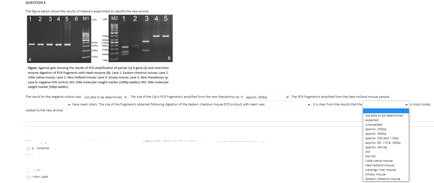 Solved QUESTION 5 The figure below shows the results of | Chegg.com