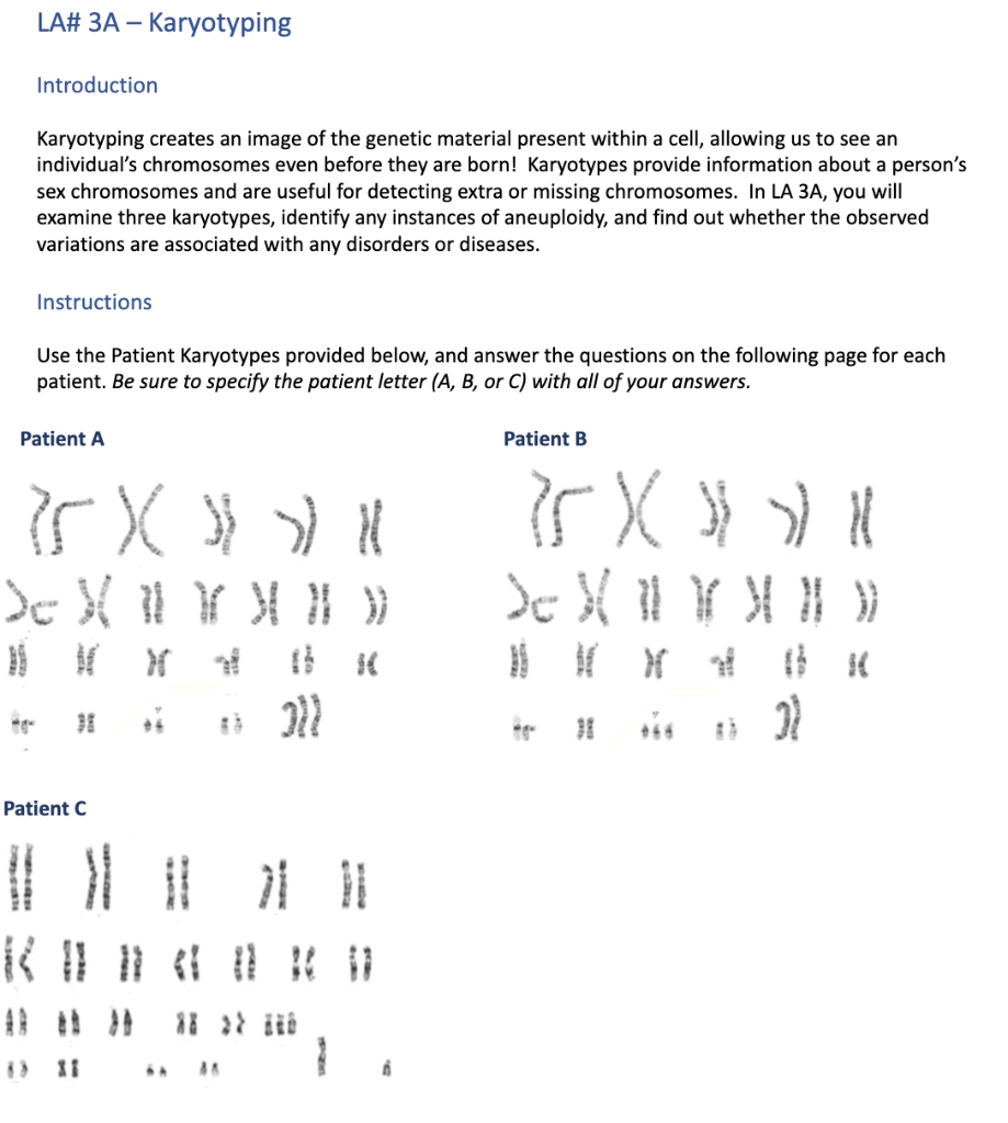 Solved LA# 3A - Karyotyping Introduction Karyotyping Creates | Chegg.com