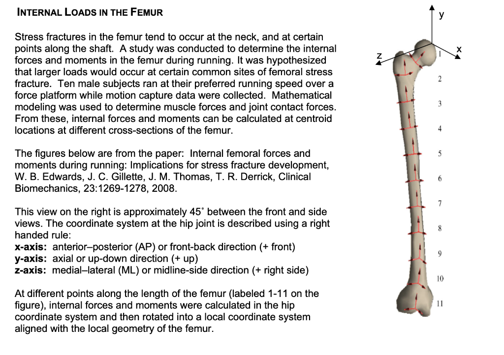 internal-loads-in-the-femur-stress-fractures-in-the-chegg