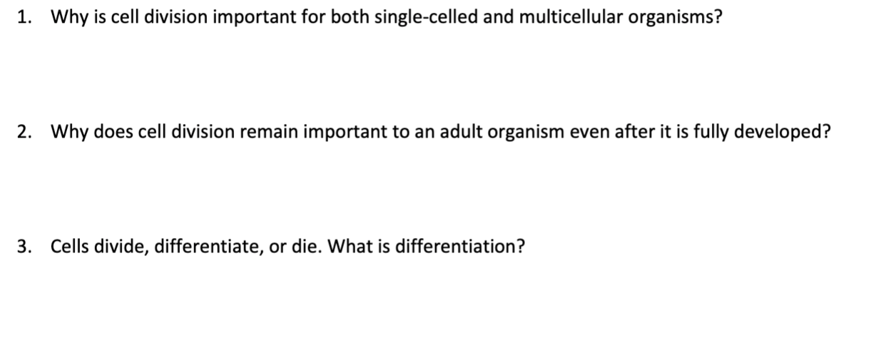 Solved 1. Why is cell division important for both | Chegg.com