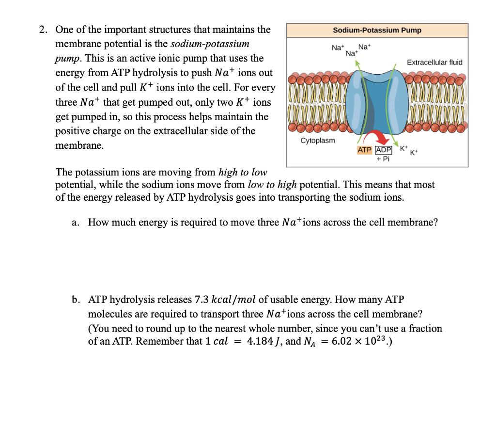 The Importance of Managing Potassium and Sodium as Part of a Well