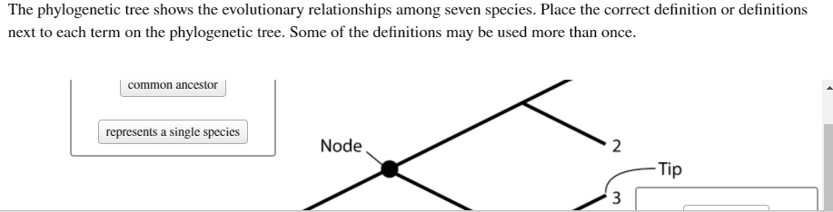 Solved The phylogenetic tree shows the evolutionary | Chegg.com