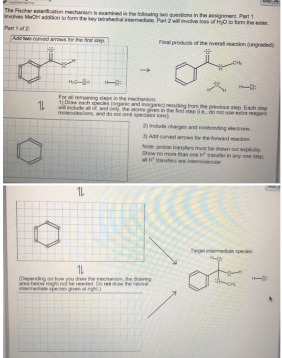 Solved The Fischer esterification mechanism is examined in | Chegg.com