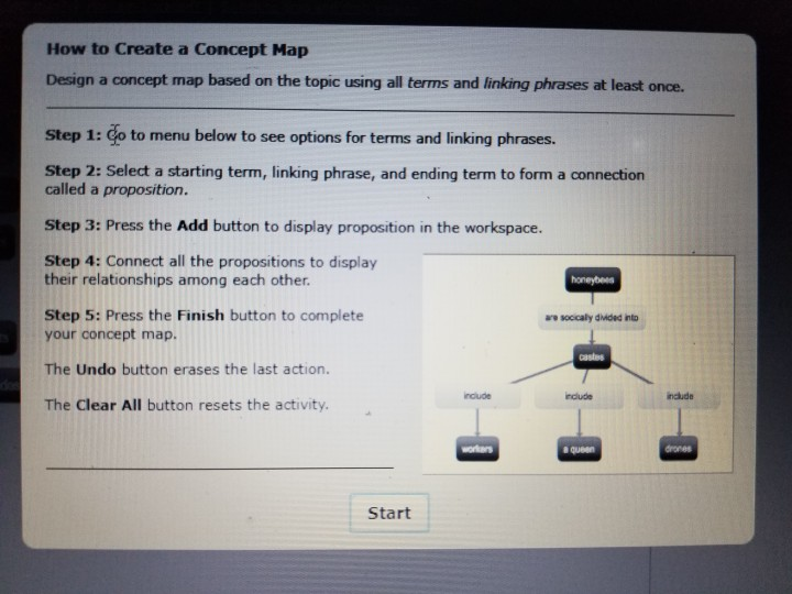 Solved How to Create a Concept Map Design a concept map