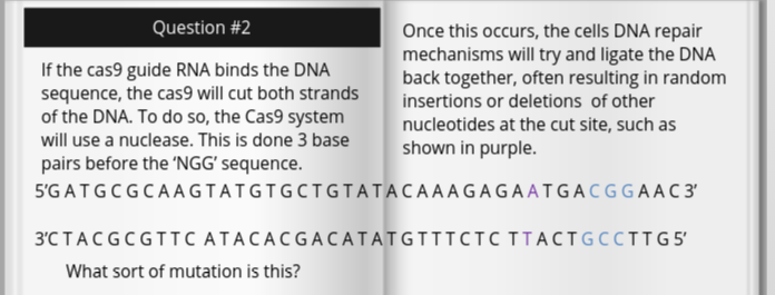 Solved Design a 20 base pair guide RNA that will bind to the | Chegg.com