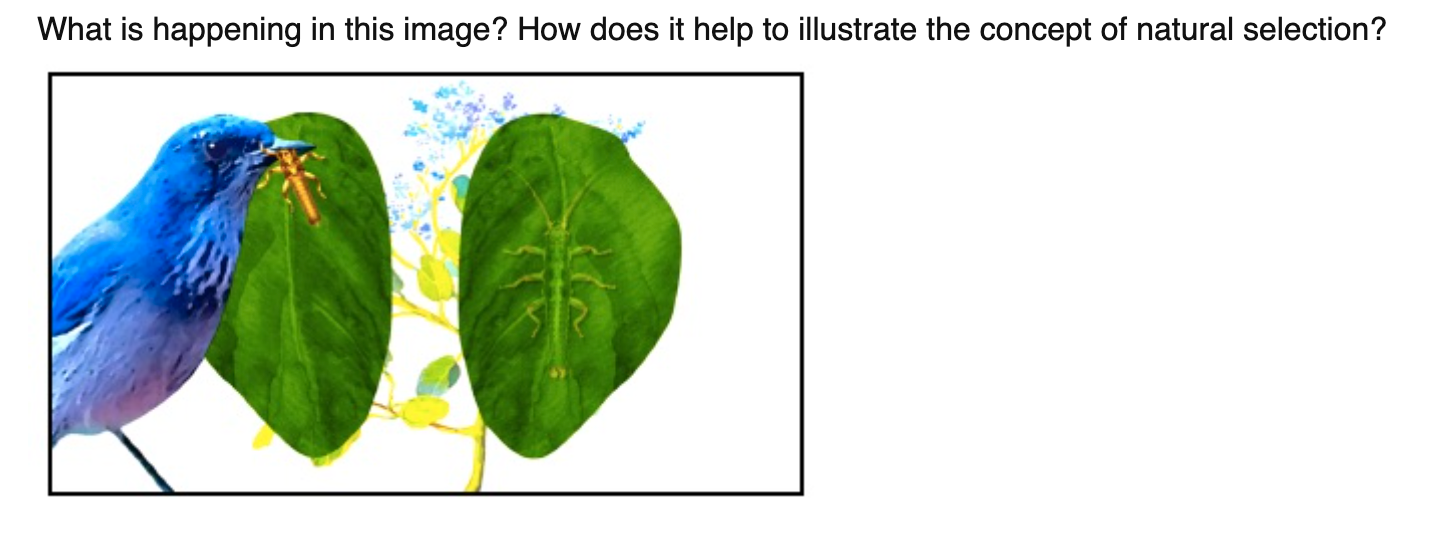 Solved What is happening in this image? How does it help to