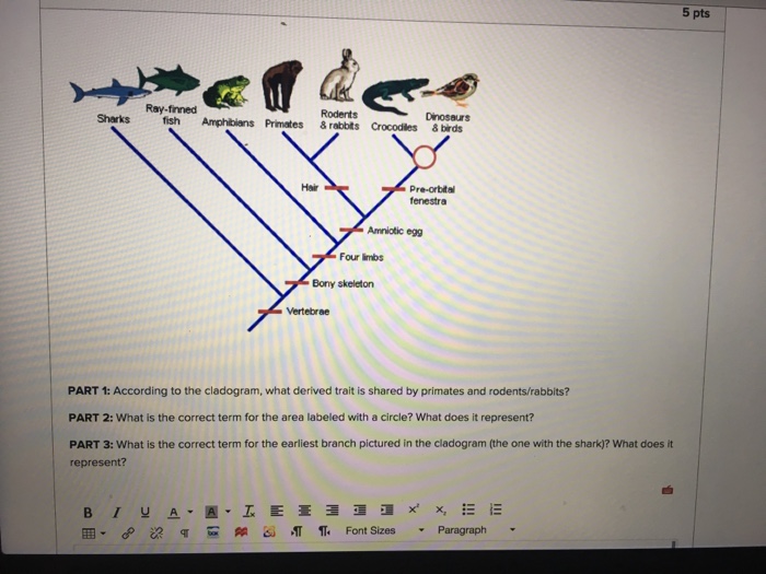 Solved According to the cladogram, what derived trait is | Chegg.com