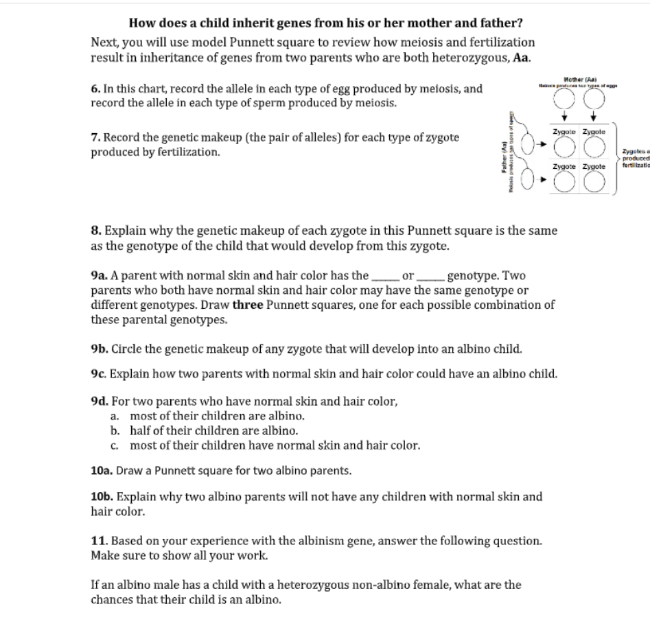 solved-how-does-a-child-inherit-genes-from-his-or-her-mother-chegg