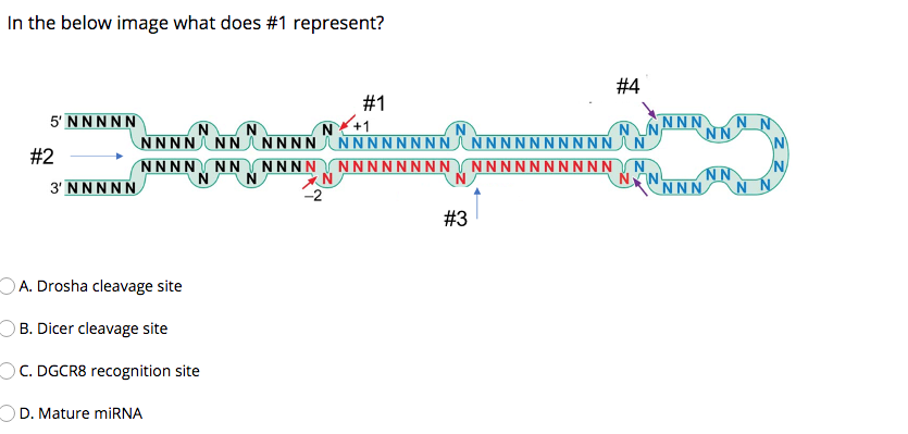 Solved In The Below Image What Does 1 Represent Nnnnnnn Chegg Com