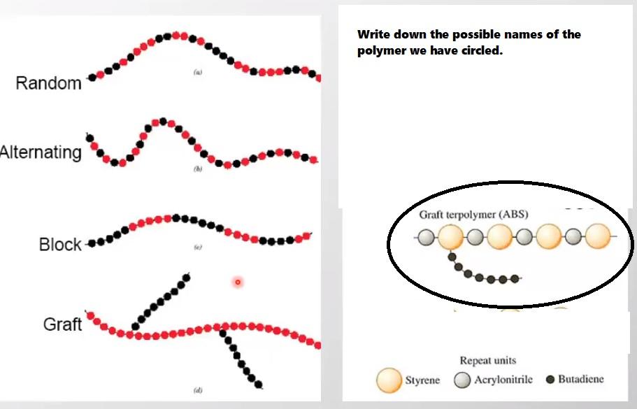 Solved Write down the possible names of the polymer we have | Chegg.com