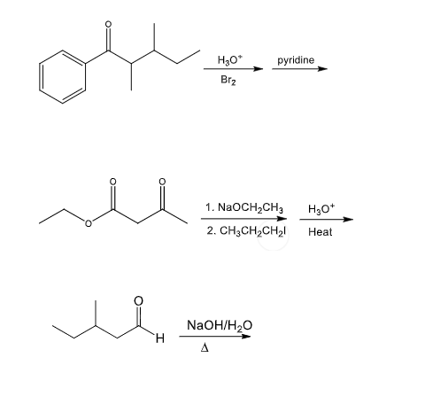 Solved H30* pyridine Brz H30+ 1. NaOCH2CH3 2. CH3CH2CH2! | Chegg.com