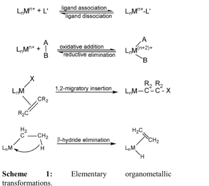 Solved Mn+ L ligand association Mn -L ligand dissociation | Chegg.com
