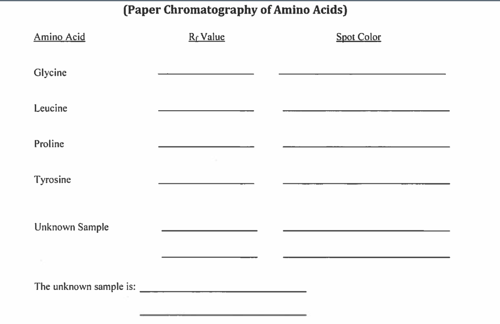 Solved (Paper Chromatography of Amino Acids) Amino Acid Rr