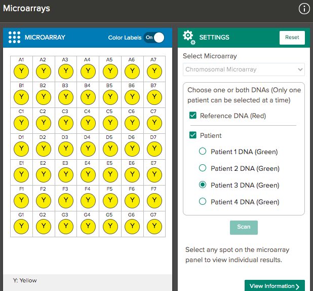 Solved In the Chromosomal Microarray, which patient appears | Chegg.com