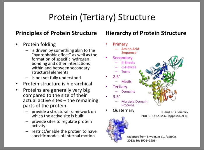 Solved Protein (Tertiary) Structure Principles of Protein