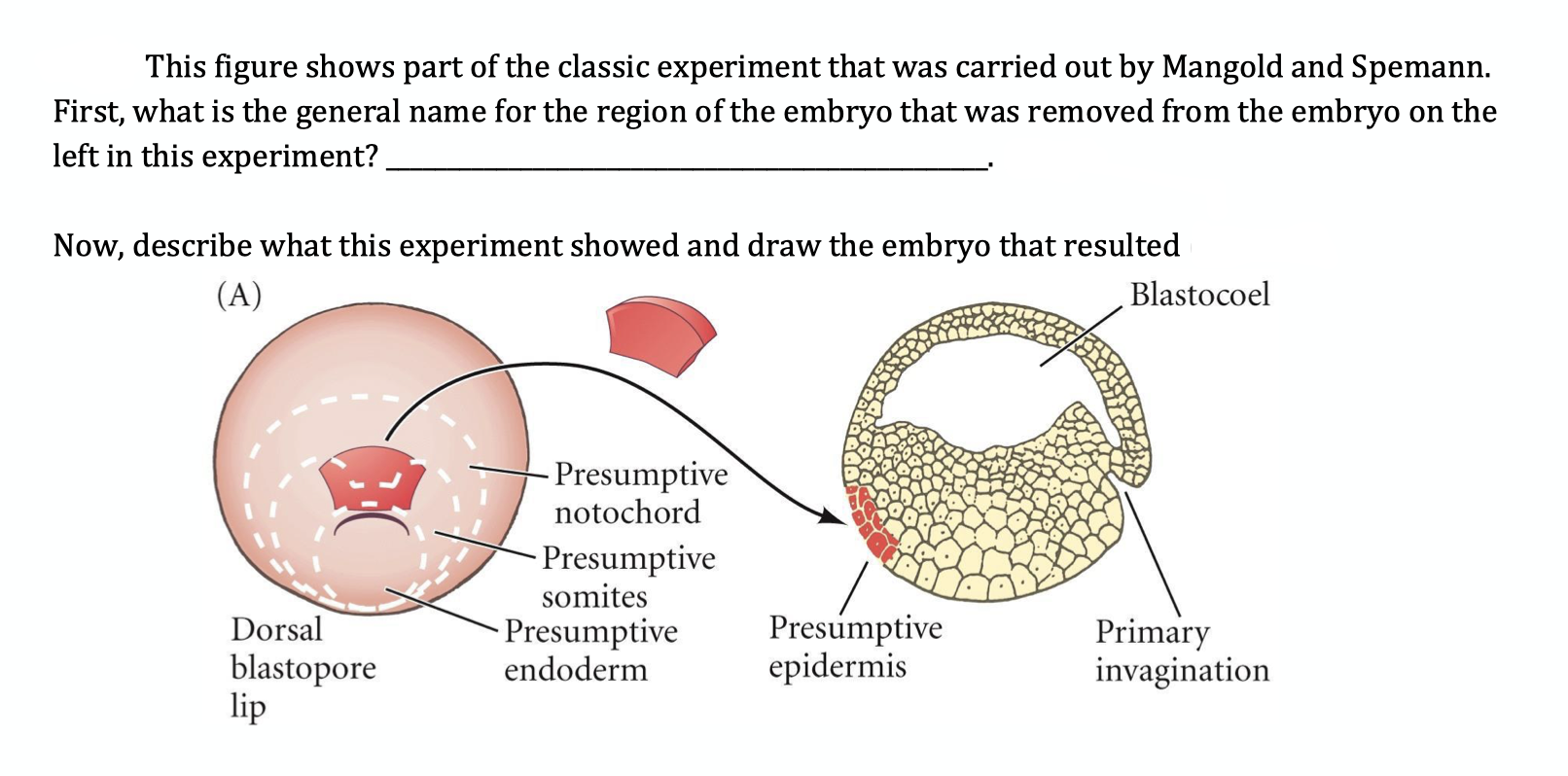 Solved This figure shows part of the classic experiment that | Chegg.com