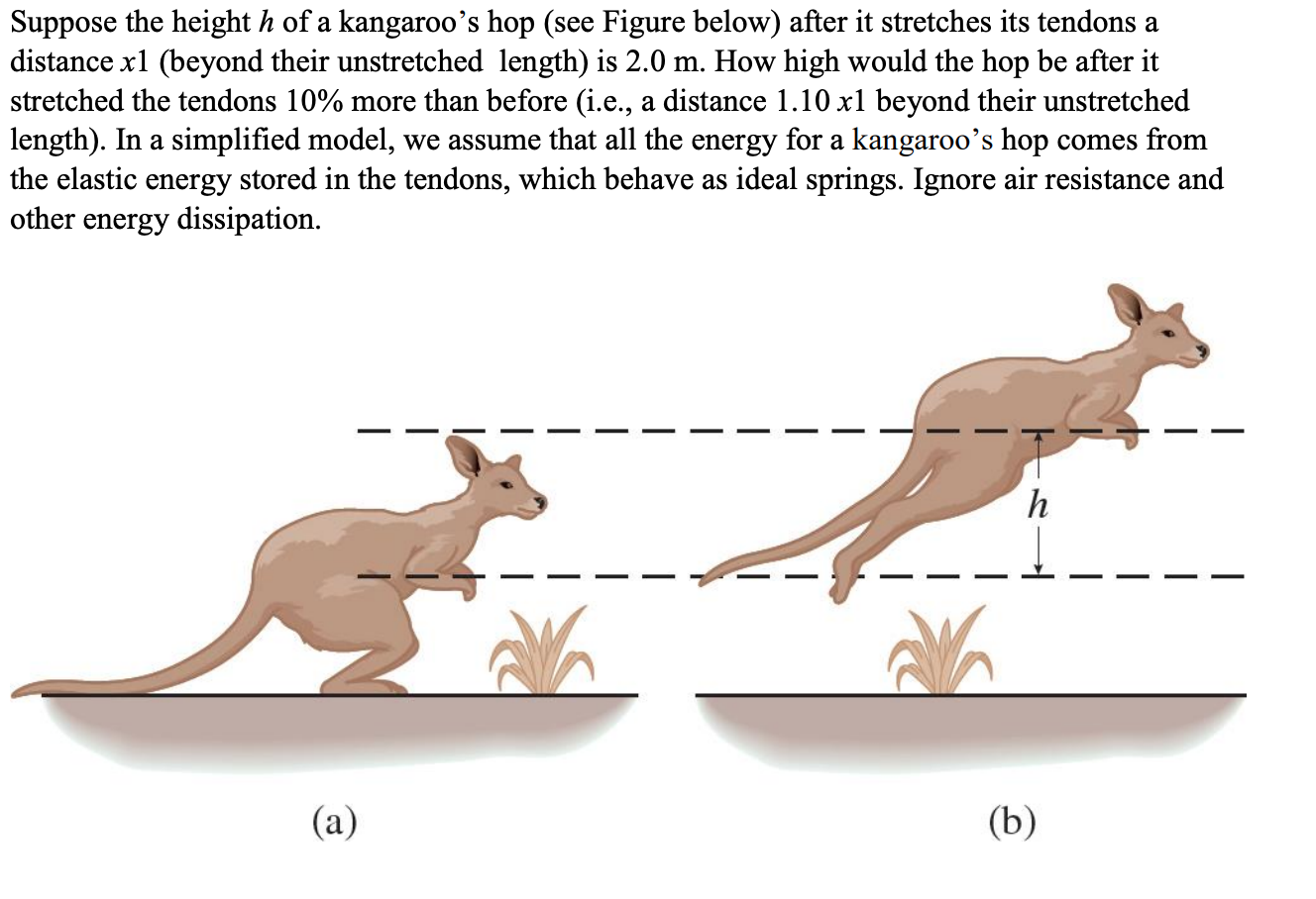 Elastic loop at bottom of Grundéns kangaroo pocket? : r/whatisthisthing