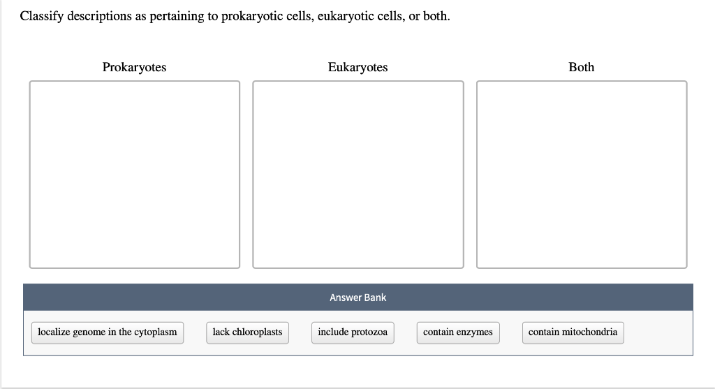 Solved Classify descriptions as pertaining to prokaryotic | Chegg.com
