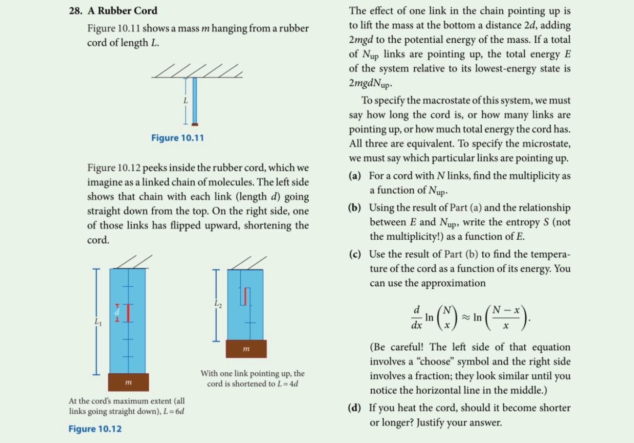 Solved 28. A Rubber Cord The effect of one link in the chain | Chegg.com