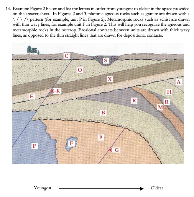Solved 14. Examine Figure 2 below and list the letters in | Chegg.com