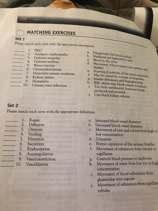 Exercise Anatomy Definition