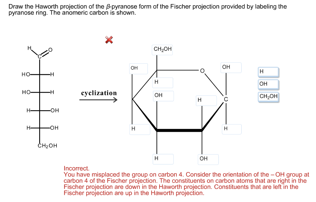 Solved Draw the Haworth projection of the B-pyranose form of | Chegg.com