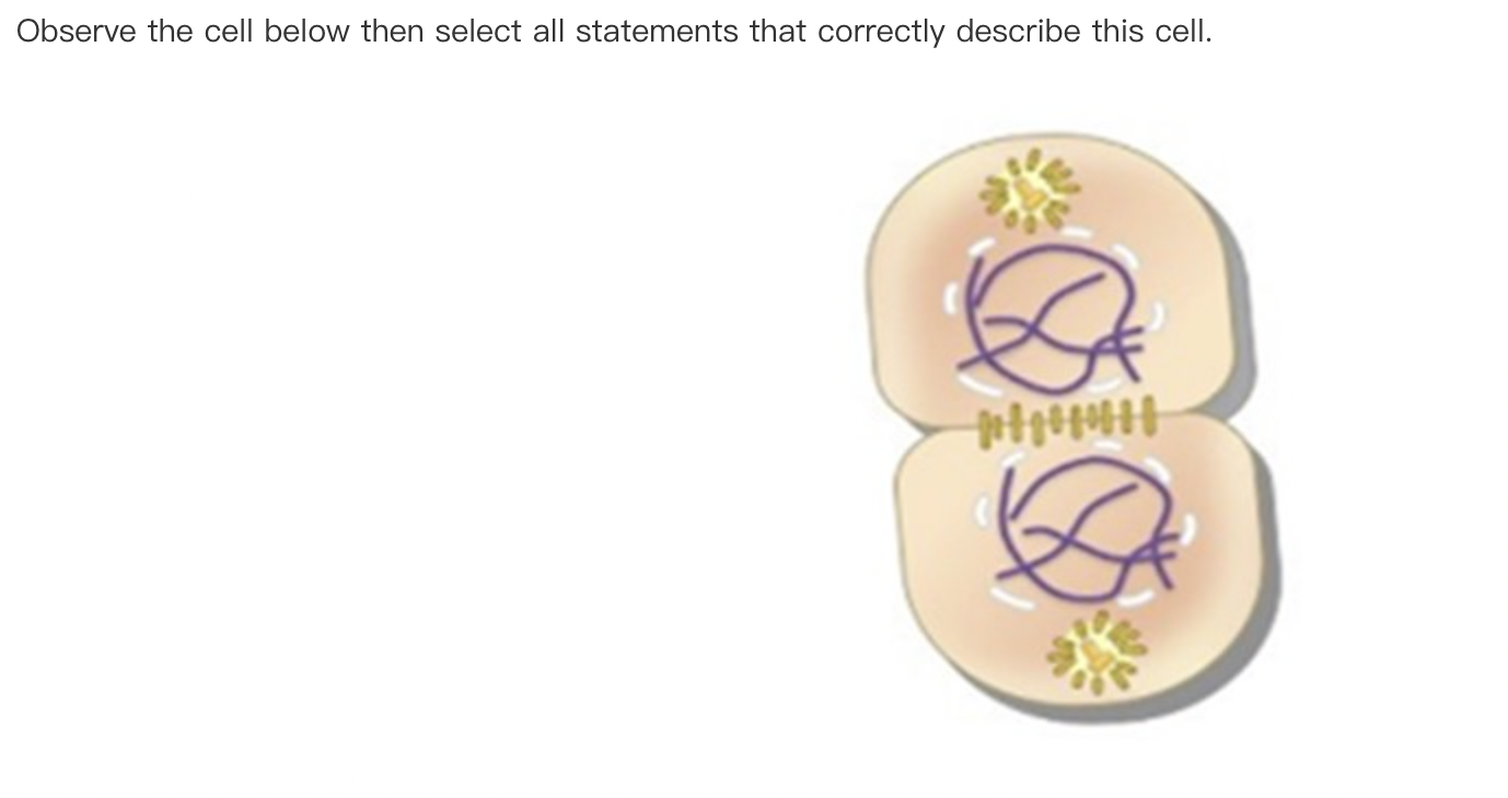 Solved Observe The Cell Below Then Select All Statements 