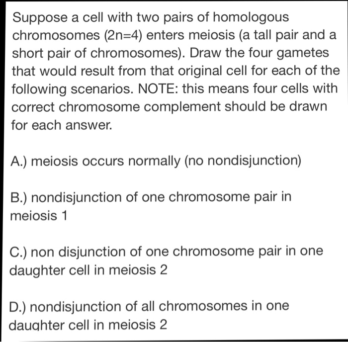 Solved Suppose a cell with two pairs of homologous | Chegg.com