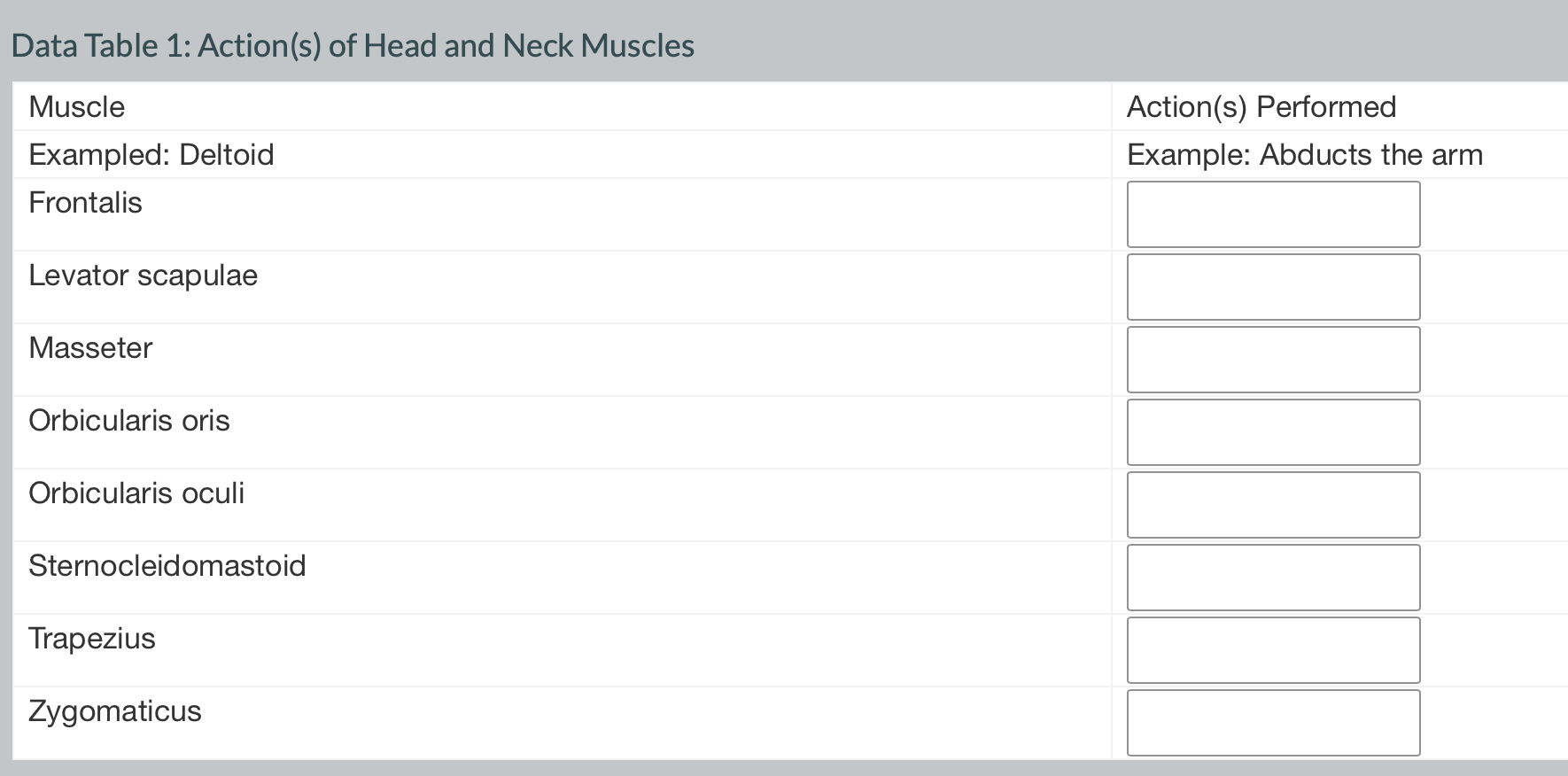 Solved Data Table 1 Action s of Head and Neck Muscles Chegg