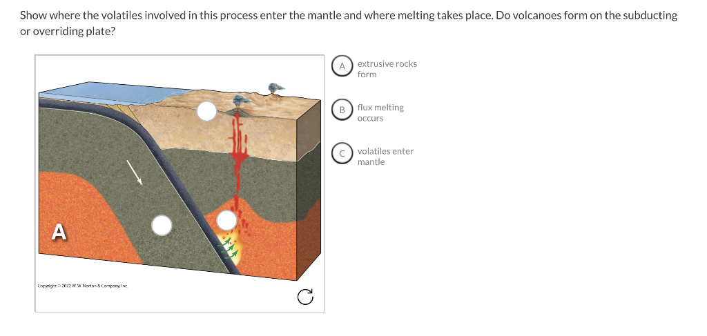 Solved An igneous rock contains several different minerals. | Chegg.com