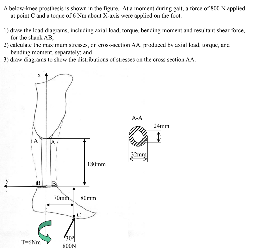 Solved A Below-knee Prosthesis Is Shown In The Figure. At A | Chegg.com