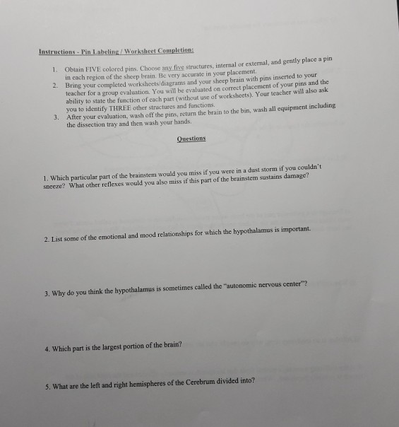 Solved Instructions - Pin Labeling / Worksheet Completion: | Chegg.com