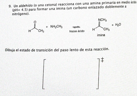 9. Un aldehído (o una cetona) reacciona con una amina primaria en medio ácido (pH= 4.5) para formar una imina (un carbono enl