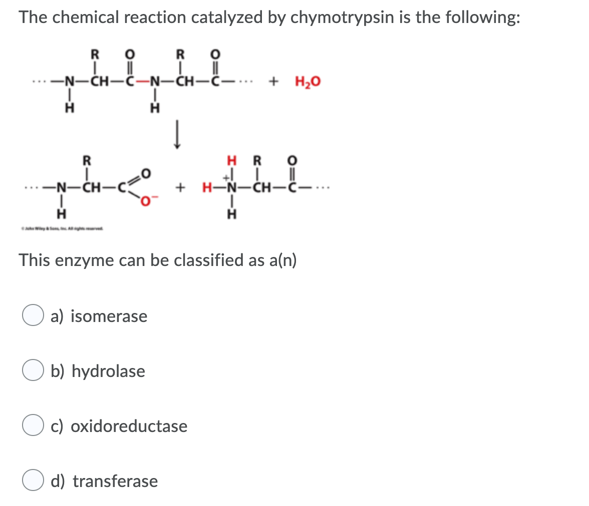 Solved The Chemical Reaction Catalyzed By Chymotrypsin Is Chegg Com