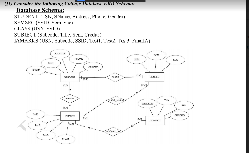 ER Diagram - STEAM Academy DB