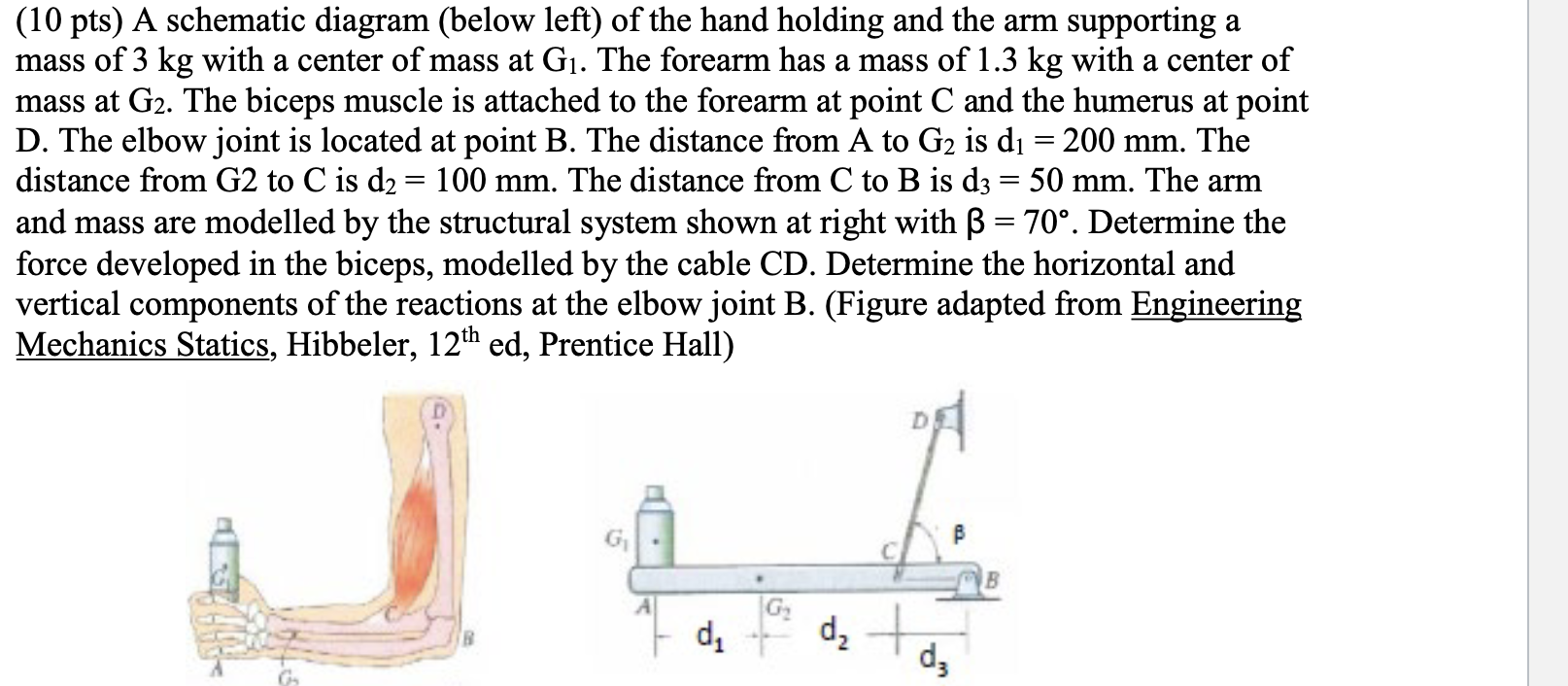 Solved (10 Pts) A Schematic Diagram (below Left) Of The Hand | Chegg.com