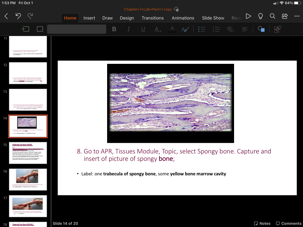 Solved 1:53 PM Fri Oct 1 64%